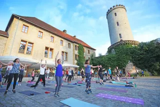 Dieser Anbieter hat keine Bildbeschreibung für dieses Bild hinterlegt