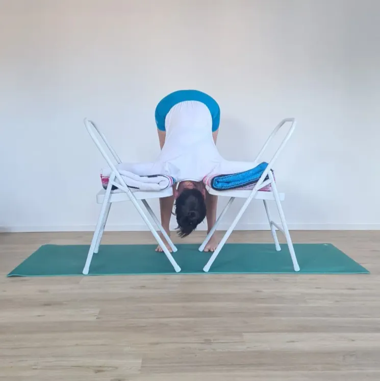 Yoga für Emotionale Stabilität | Claudia | In Präsenz im Studio @ Iyengar Yoga Zentrum Berlin