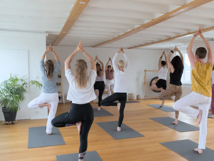 Hatha Yoga • Montags • 19:00 • 90 Min • Präventionskurs ab 17. August @ Yoga Vidya Osnabrück