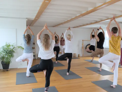 Hatha Yoga • Montags • 19:00 • 90 Min • Präventionskurs ab 17. August @ Yoga Vidya Osnabrück