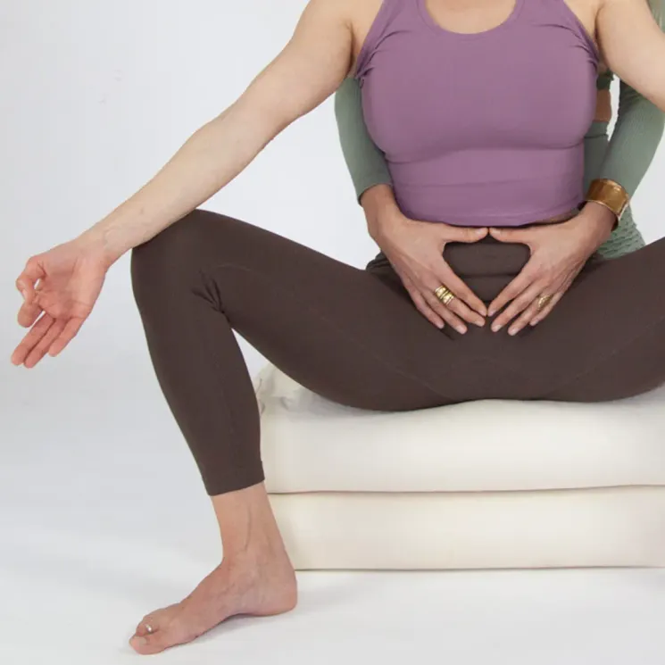 Pre- und Postnatal Yoga 16h | Fortbildung @ Komjun