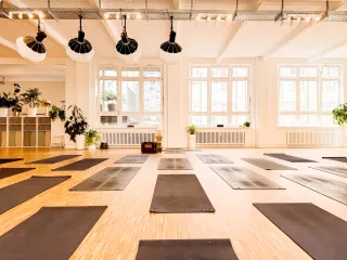 Dieser Anbieter hat keine Bildbeschreibung für dieses Bild hinterlegt