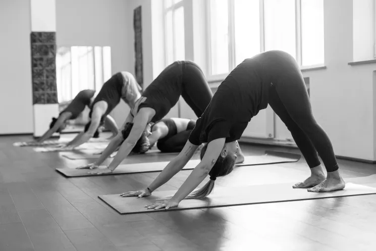 Einsteiger-Kurs (10 Termine) @ Ashtanga Yogawerkstatt