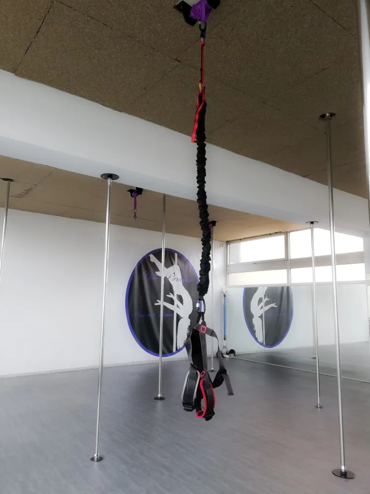 Bungee Fitness @ Pole Paradise