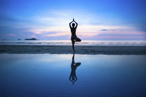 Inner Balance - Yoga für den Vagusnerv @ LotusTree - Health in Balance