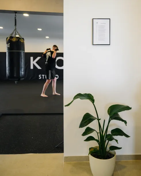 kampfIQ Studio