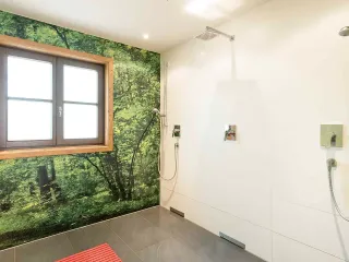 Dieser Anbieter hat keine Bildbeschreibung für dieses Bild hinterlegt