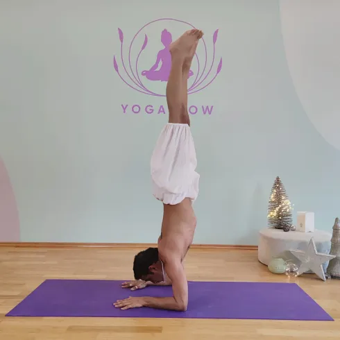 Vertical Flow - Meistere Deinen Handstand @ Studio Yogaflow Münster