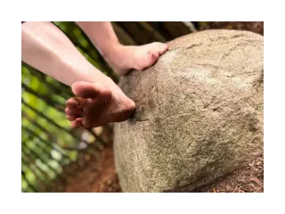 Dieser Anbieter hat keine Bildbeschreibung für dieses Bild hinterlegt