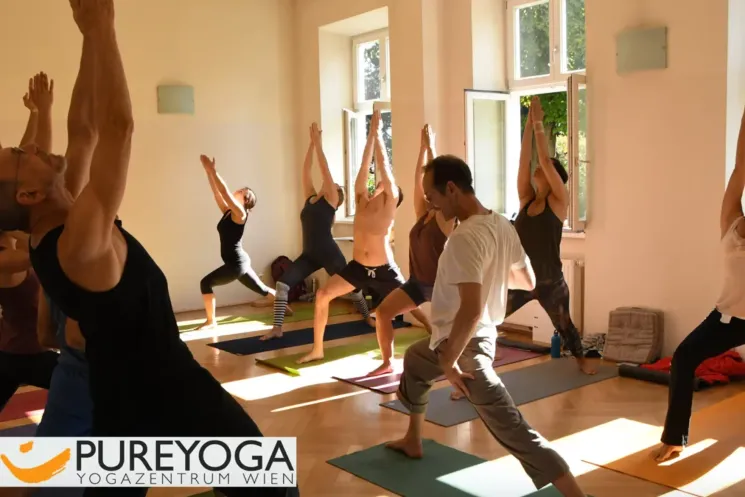 Yogalehrer*innen Ausbildung 2020/21: 500h Yoga Alliance zertifiziert; Start 17.01.2020 @ Pureyoga, Yogazentrum Wien