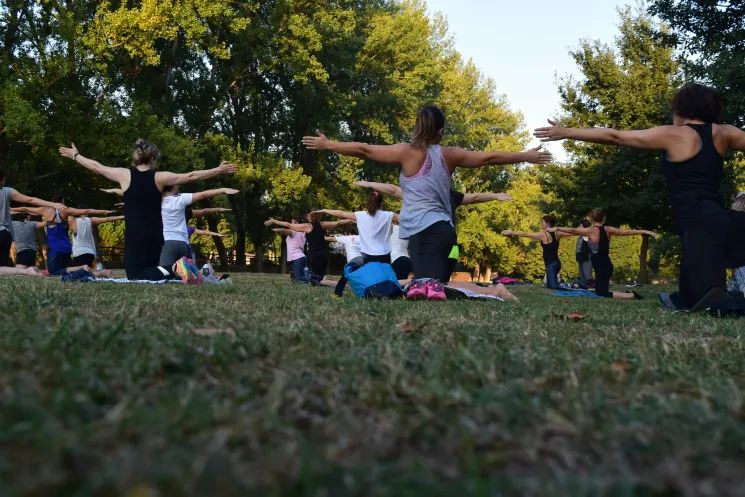 Rücken-Yoga im Hofratsgarten @ Yoga RAUM Hall