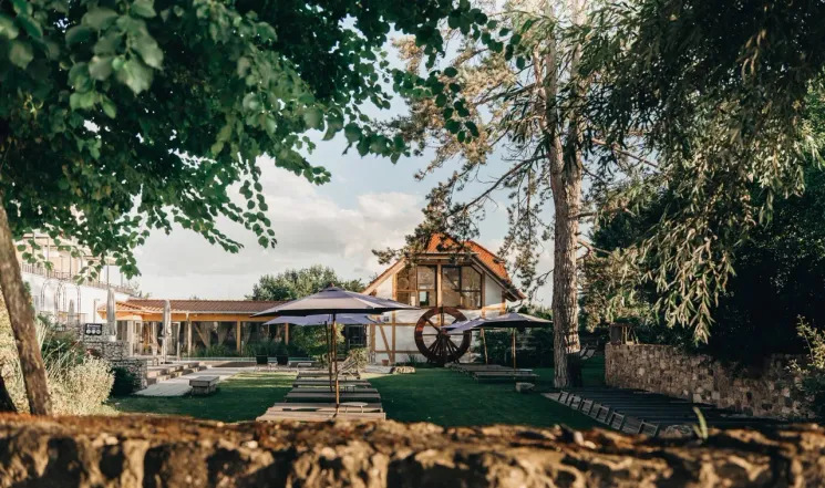 Yoga Retreat | Rise & Release - Sonnenwende | 25. - 27. Juni 2027 @ Federleicht Leben