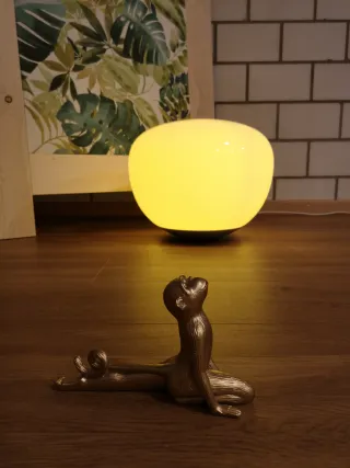 Dieser Anbieter hat keine Bildbeschreibung für dieses Bild hinterlegt