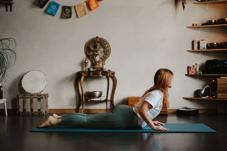 Infoveranstaltung Chakra Flow Yoga Weiterbildung ab Februar 2027 (vor Ort und Online) @ Om Shanti Yoga