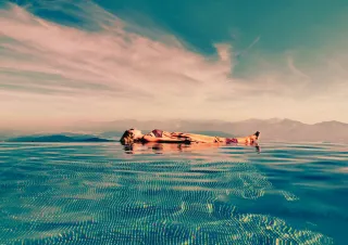 Dieser Anbieter hat keine Bildbeschreibung für dieses Bild hinterlegt