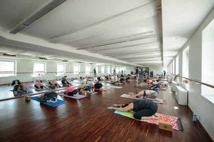 Flow Yoga Online @ Yoga College Vienna
