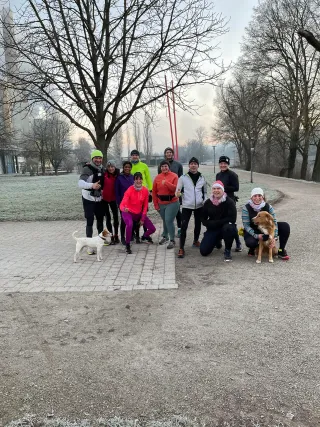 Dieser Anbieter hat keine Bildbeschreibung für dieses Bild hinterlegt