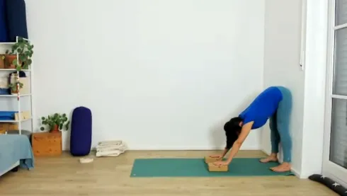 Le studio n'a pas fourni de description pour cette image