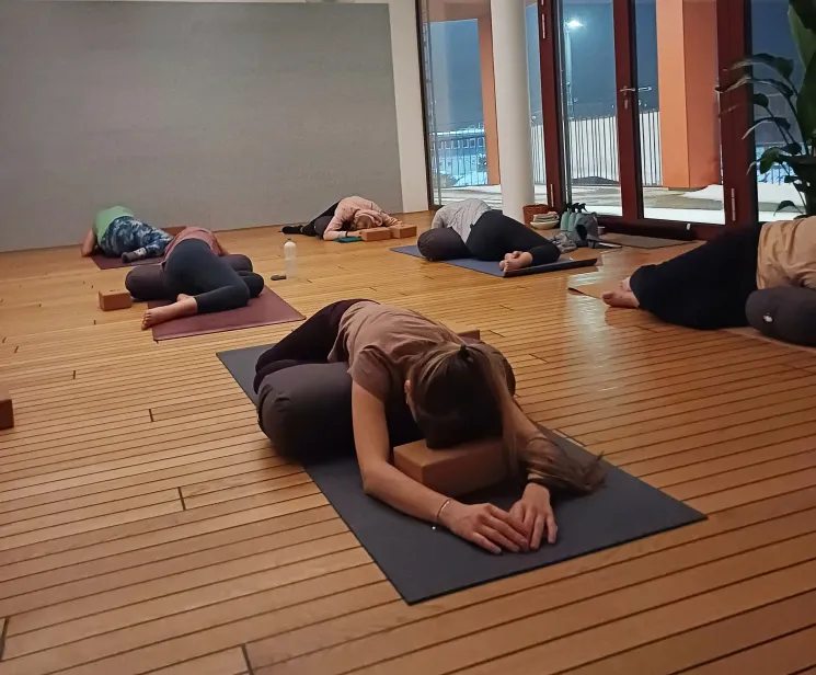 Tag der Offenen Tür: Was ist Yin Yoga? @ Dein Yoga Leo