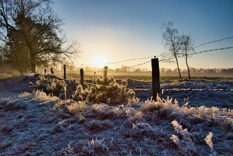 Winter Solstice - Yoga zur Sonnenwende @ KarmaConcepts