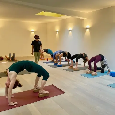 Ashtanga Vinyasa Yoga (D/Engl) @ Yogawerkstatt