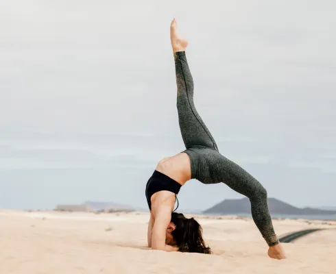 Le studio n'a pas fourni de description pour cette image