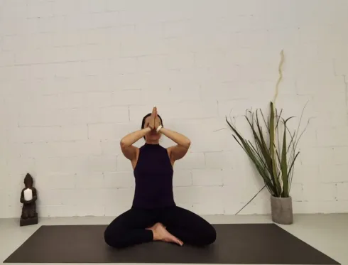 Le studio n'a pas fourni de description pour cette image