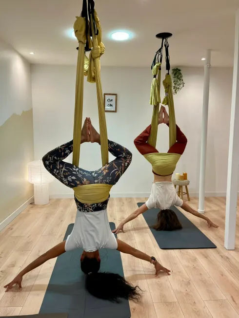Formation Yoga Aérien - 25 heures - Lyon - 20 au 22 Novembre 2026 @ Pandi Panda Yoga