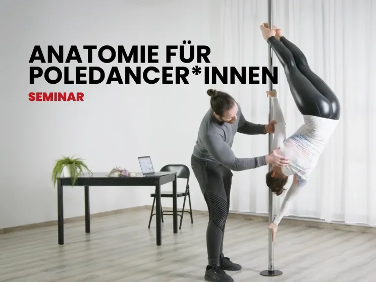 Anatomie für Poledancer*innen @ INFLOW • Poledance & Aerial Studio
