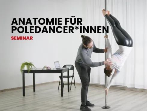 Anatomie für Poledancer*innen @ INFLOW • Poledance & Aerial Studio