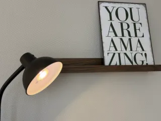 Dieser Anbieter hat keine Bildbeschreibung für dieses Bild hinterlegt