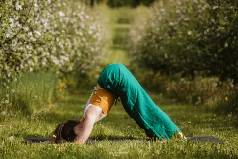Prana-Yoga-Haus