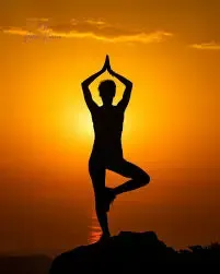 Manas Yoga Summer Fest - Where Light Gathers (Surya Utsava) @ Manas Yoga
