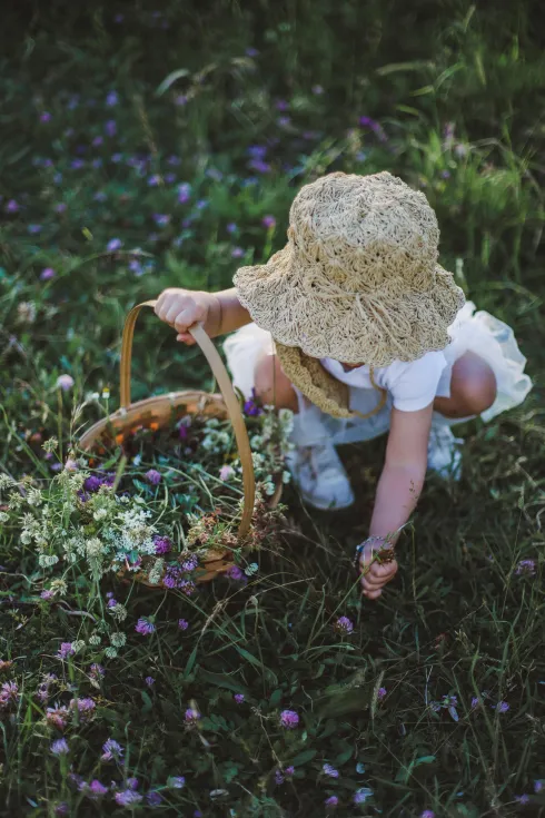 Wildkräuterspaziergang für Kinder @ Yvis Gym