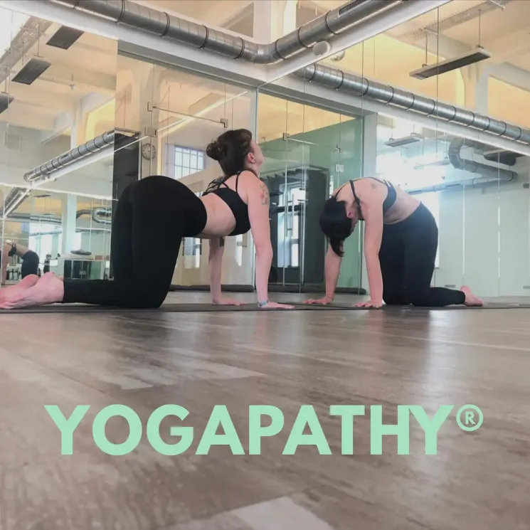YOGA ONLINE - Yogapathy @ Yogaloft Vienna