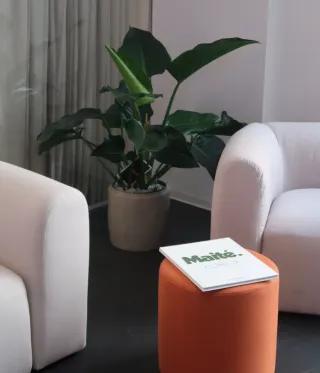 Dieser Anbieter hat keine Bildbeschreibung für dieses Bild hinterlegt