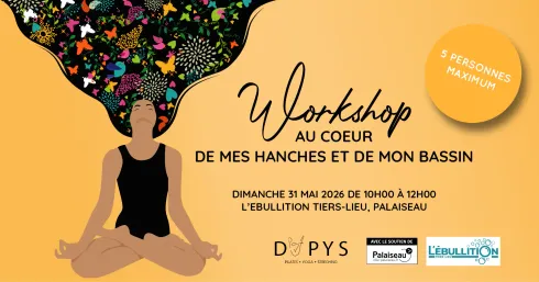 WORKSHOP HANCHES/BASSINS EN PRESENTIEL @ DAPYS