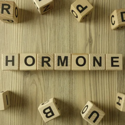 Hormone & Yoga: Finde dein hormonelles Gleichgewicht @ YES Coach