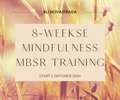 8-weekse Mindfulness Training @ NovaStrada