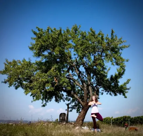 Präventionskurs Yoga 2 Wiedereinsteiger  @ Yoga Vidya Mainz