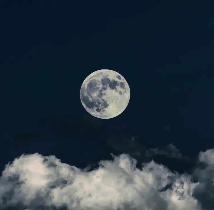 CONNECT TO THE MOON: Verwurzelt & Klar – Deine innere Stärke entfalten @ Yoga am Seerosensteg