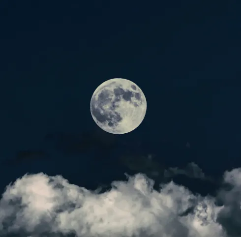 CONNECT TO THE MOON: Verwurzelt & Klar – Deine innere Stärke entfalten @ Yoga am Seerosensteg