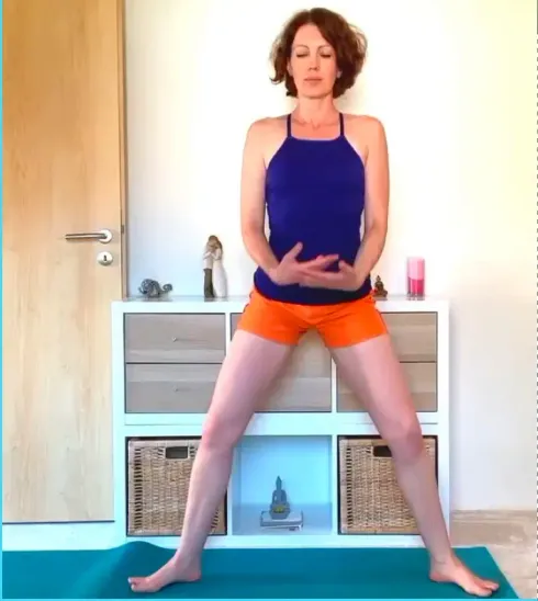 Vinyasa Yoga (Livestream mit Zoom) @ Insight Yoga