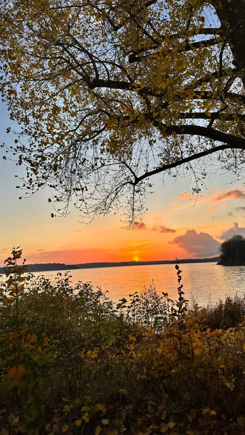 Le studio n'a pas fourni de description pour cette image