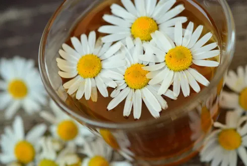 Homöopathische und naturheilkundliche Hausapotheke (Vortrag) @ Hebammenpraxis Luna
