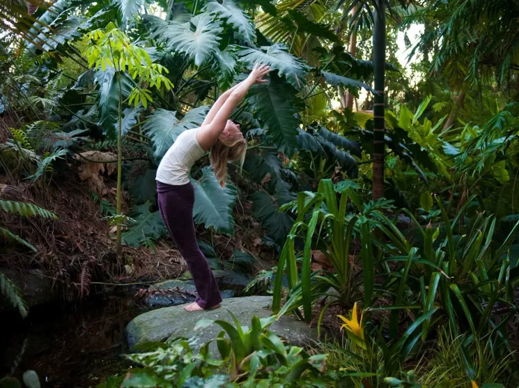 Vinyasa Yoga sanft ONLINE LIVE @ Yogagalerie