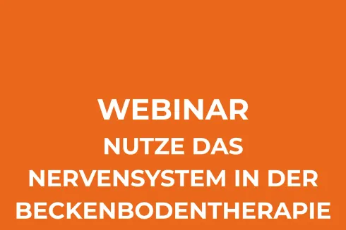 Webinar Nutze das Nervensystem in der Beckenbodentherapie @ Anima Akademie für Frauengesundheit