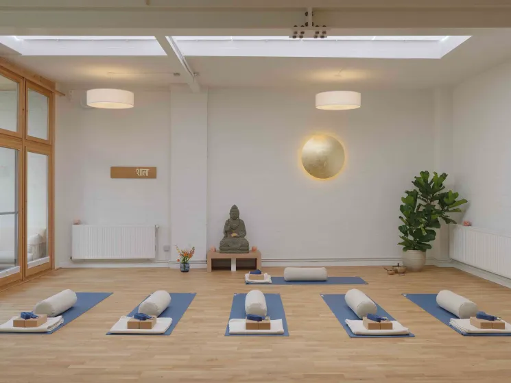 Yin Yoga & Yoga Nidra I Midsummer Special @ The Shala Hamburg