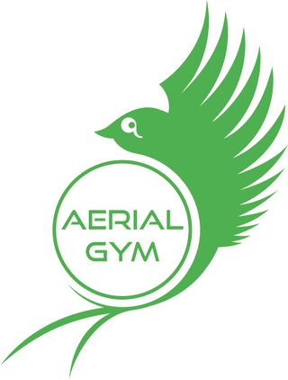 Aerial Gym