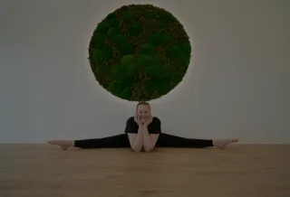 Dieser Anbieter hat keine Bildbeschreibung für dieses Bild hinterlegt